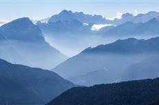 政府采購(gòu)類